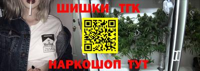 индика Тверь