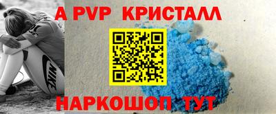 индика Тверь