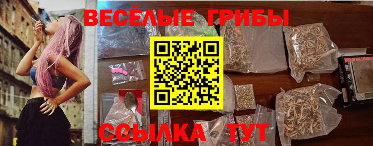 Псилоцибиновые грибы прущие грибы Евпатория