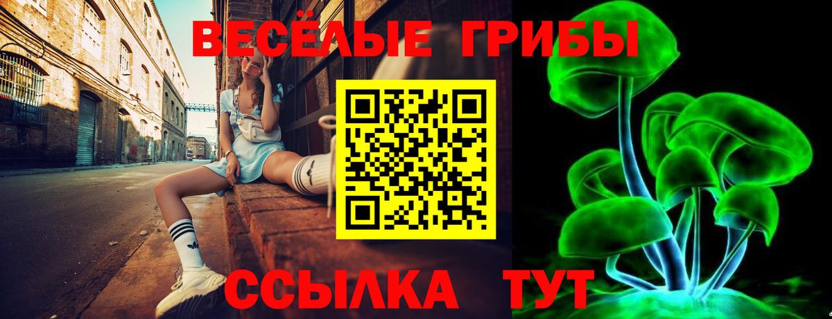 Галлюциногенные грибы Psilocybe  Вход с VPN  Евпатория 